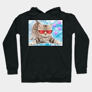 cat1 Hoodie